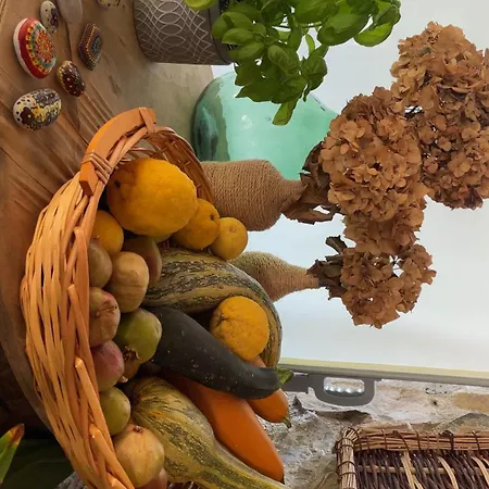 فندق مبيت وإفطار Naturalya فيبوناتي